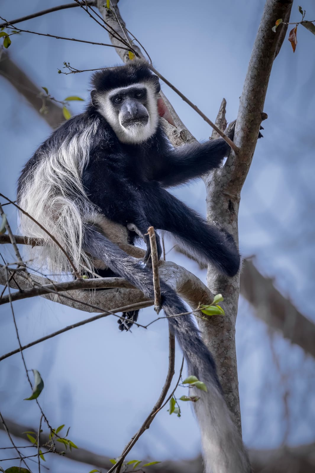 Arusha National Park — photo 3