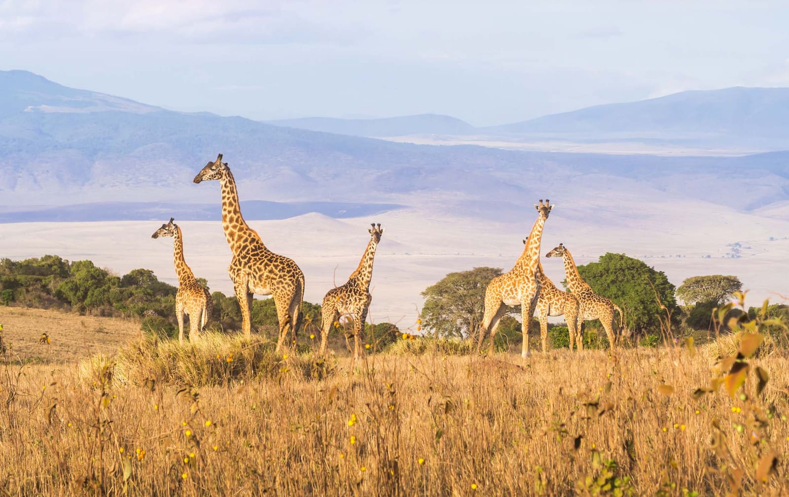Day 3 — Ngorongoro Crater → Moshi