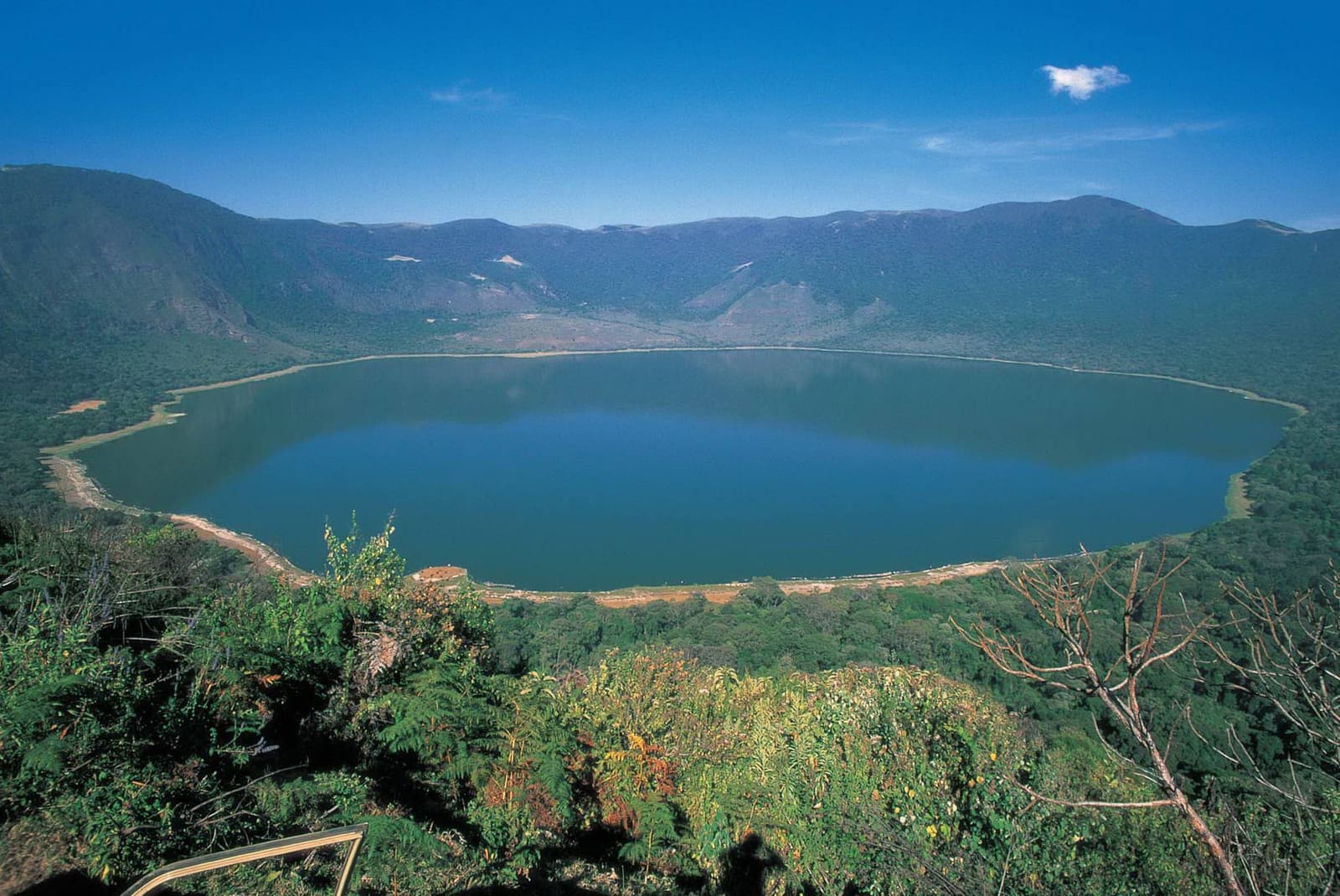 Kikuletwa (Chemka) Hot Springs