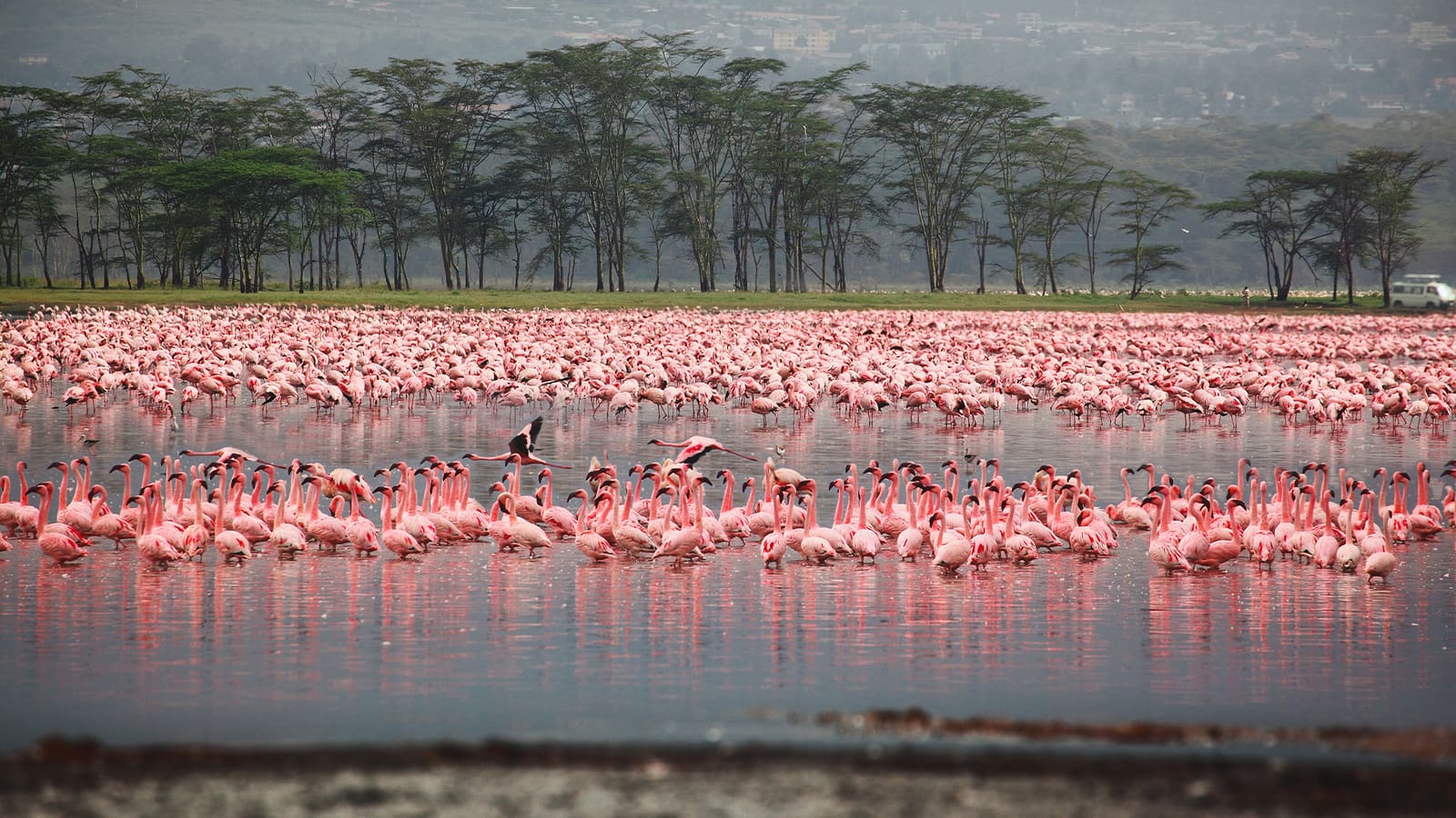 Lake Manyara National Park
